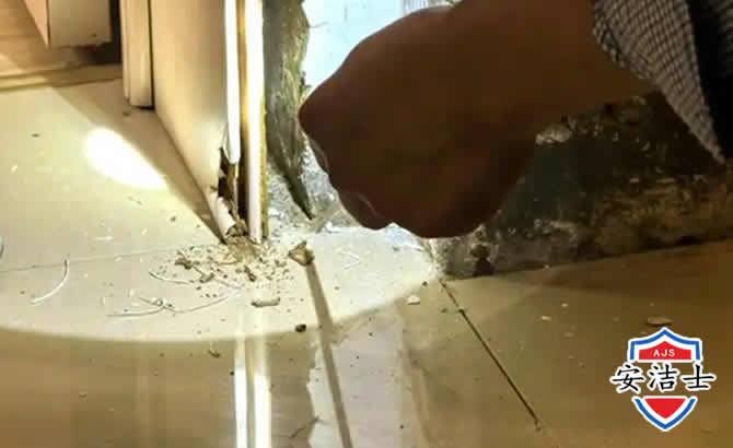 余杭区房屋建筑防治白蚁