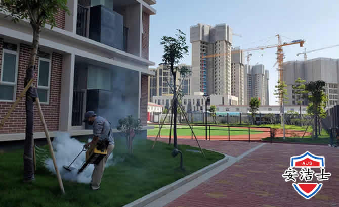 余杭区工厂工地除白蚁