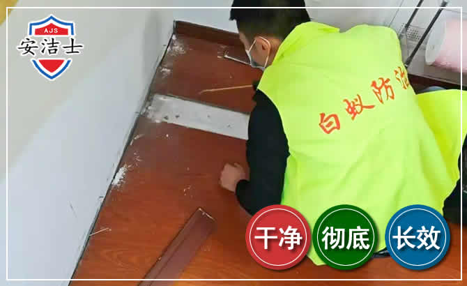 余杭区除四害现场