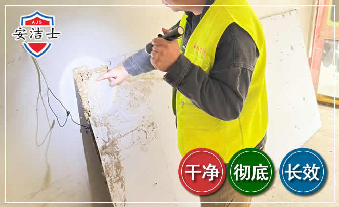 余杭区除白蚁现场